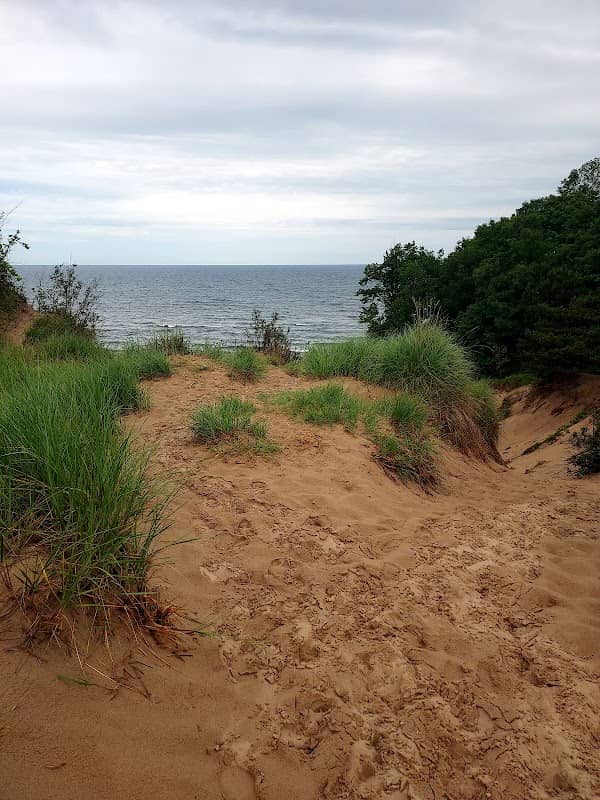 Virginia Park - Image 1