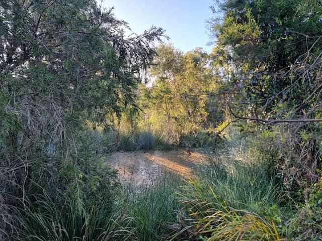 Glenmay Wetland - Image 1