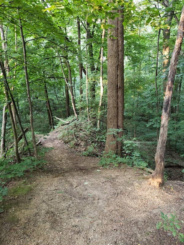 Rum Village Mountain Bike Trail - Image 1