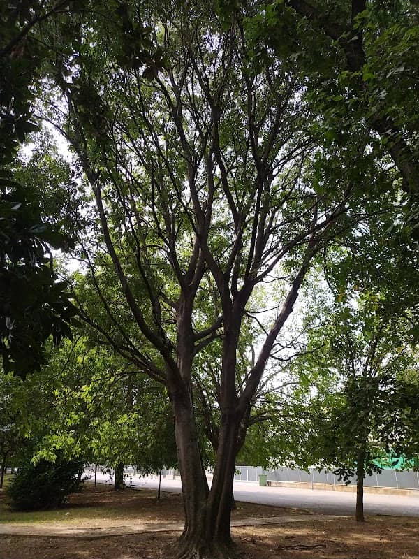 Parco Pubblico - Image 1