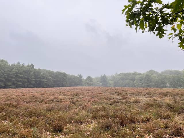 Wandelpad De Bonenberg - Image 1