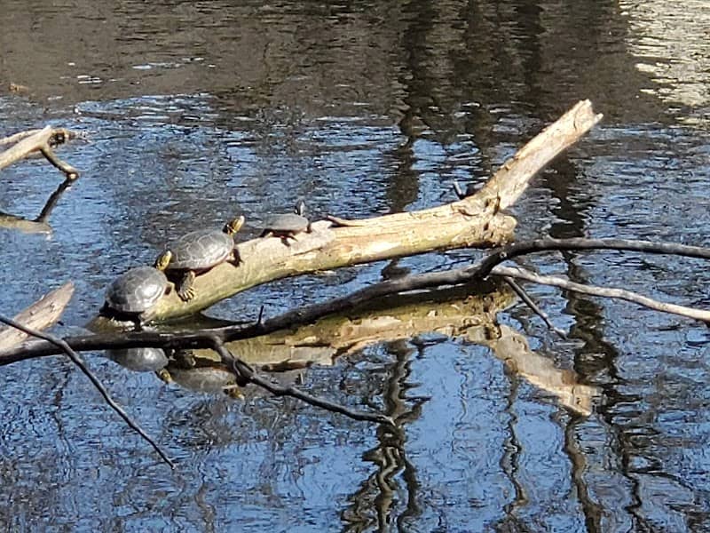 Keller Lake Park - Image 3