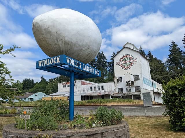 World's Largest Egg - Image 1