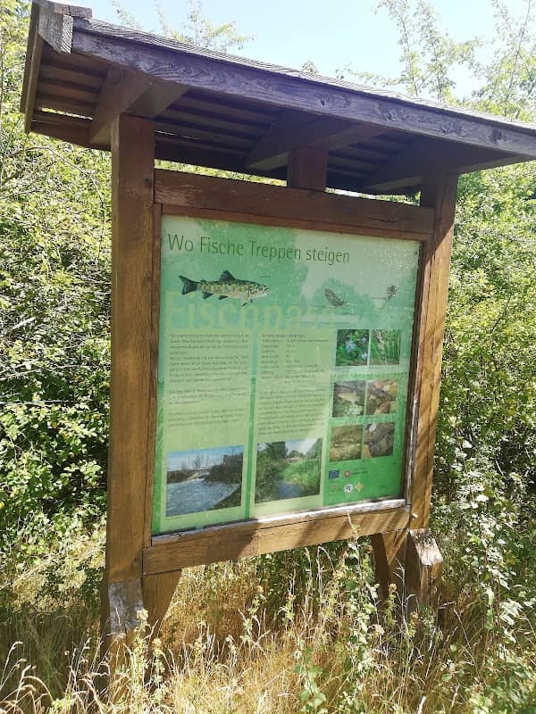 Naturlehrpfad Meinersen - Image 1