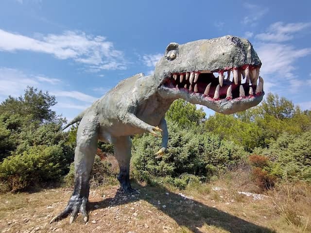 Staza Dinosaura - Image 1