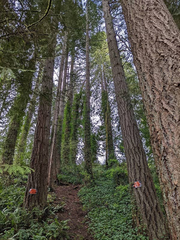 Ravenna Trail - Image 1