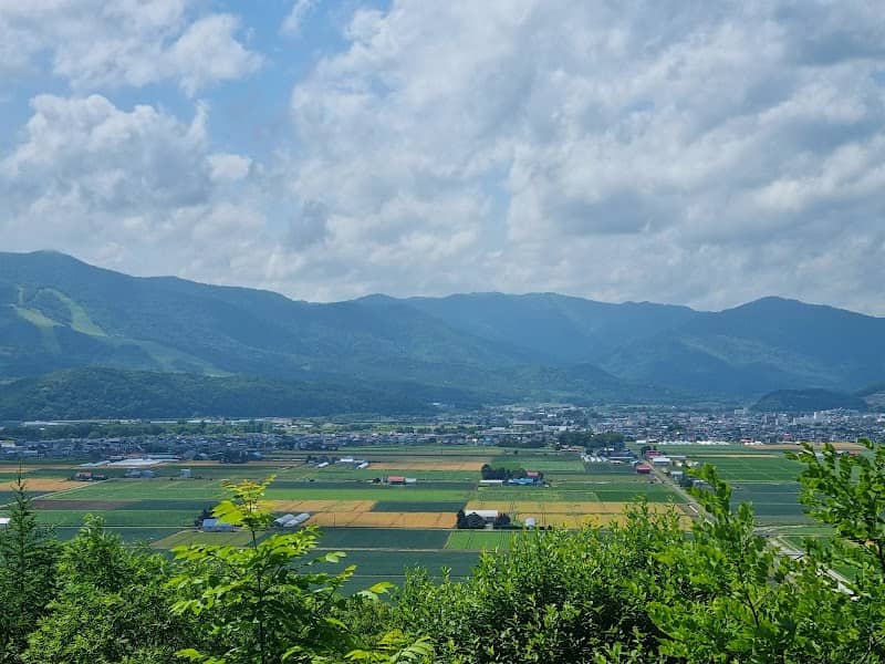 Heart Hill Park observation deck - Image 1