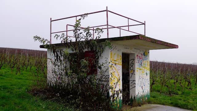 Weinbergshäuschen - Image 2