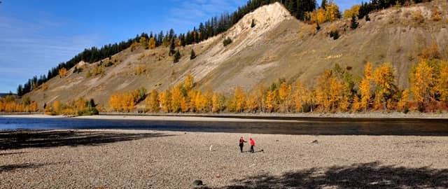 Cottonwood Island Nature Park - Image 1