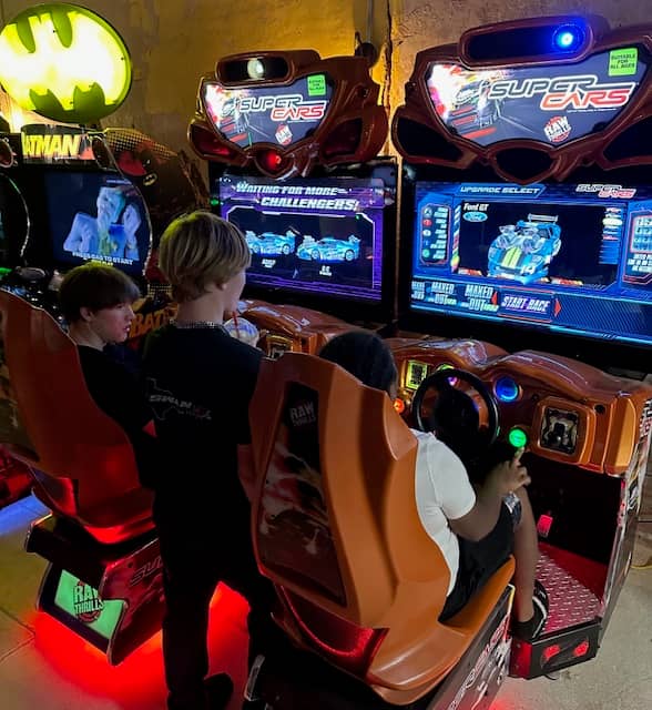 Duckie's Revenge Retro Arcade - Image 1