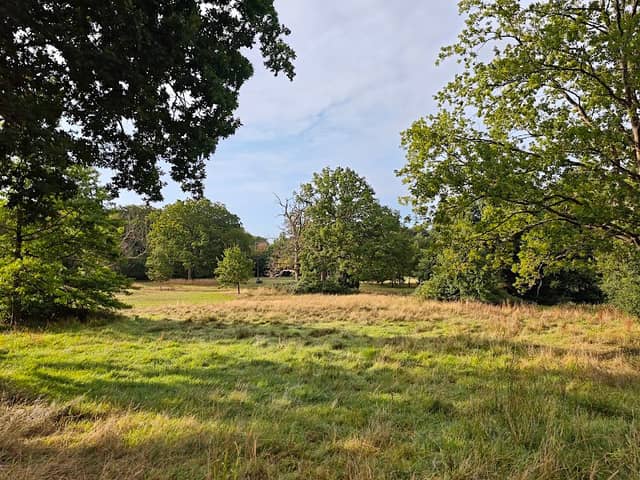 Lily Hill Park - Image 2
