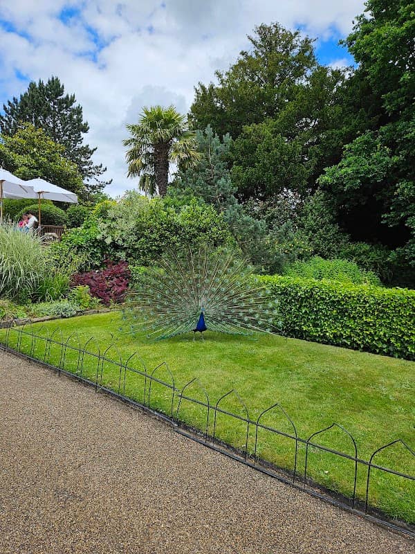 Warwick Peacock Garden - Image 1