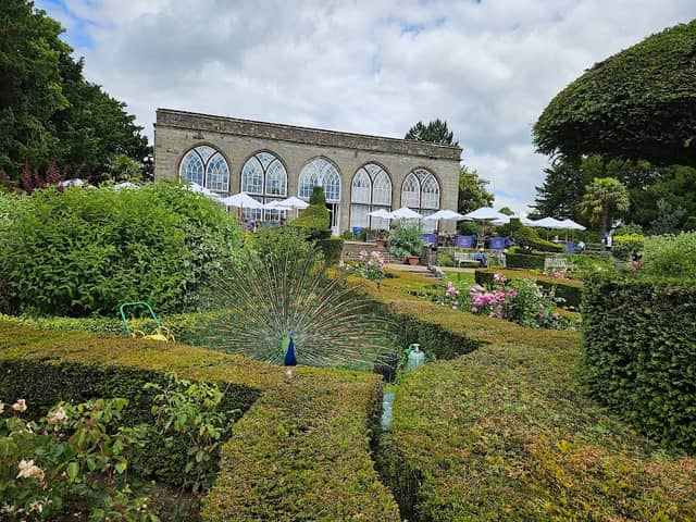 Warwick Peacock Garden - Image 2