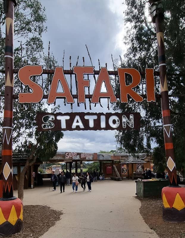 Safari Station - Image 1