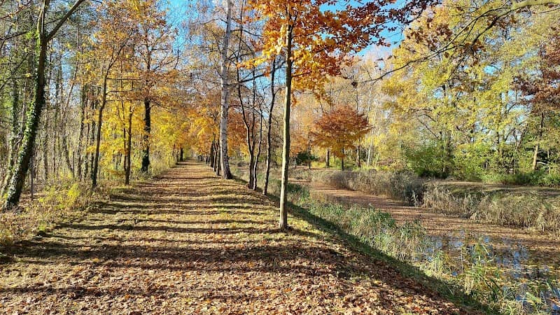Flosskanal-Blick - Image 1