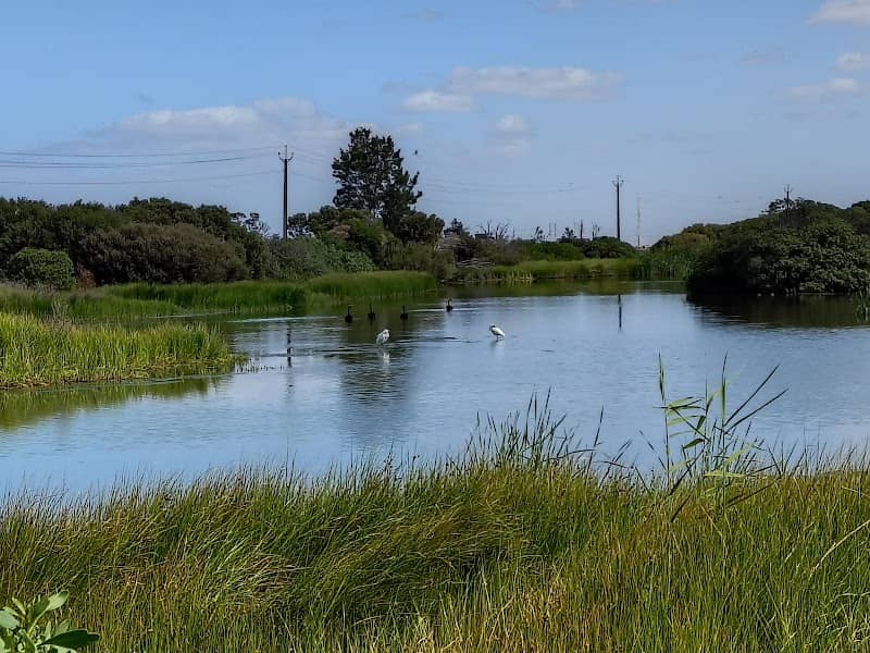 Greenfields Wetlands - Image 1