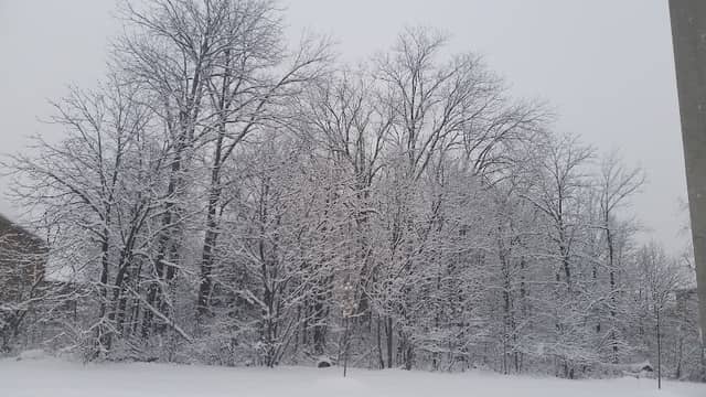 Walnut Grove Park - Image 1