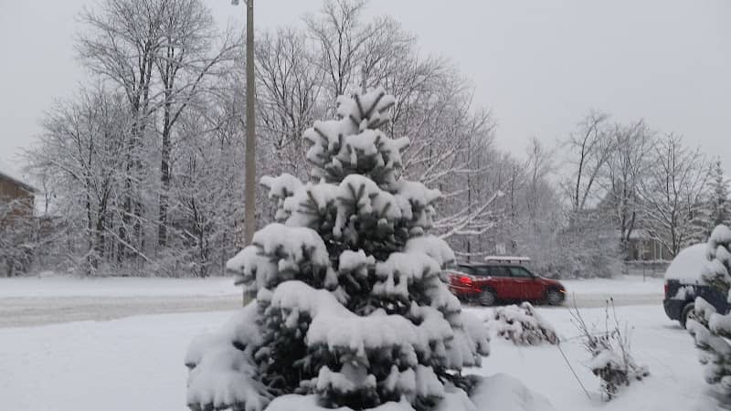 Walnut Grove Park - Image 2