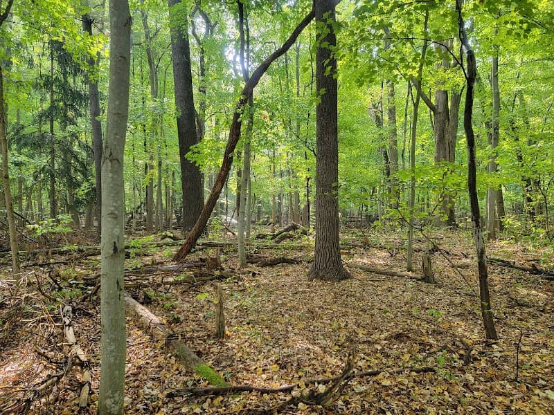 Barker Woods Nature Preserve - Image 2