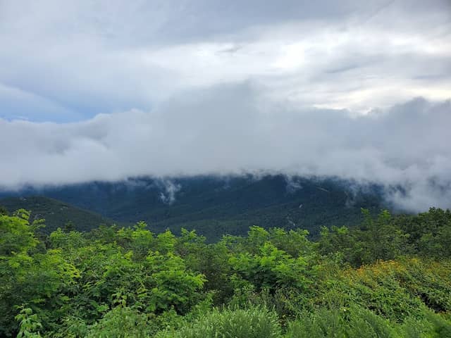 Devils Knob Overlook - Image 2