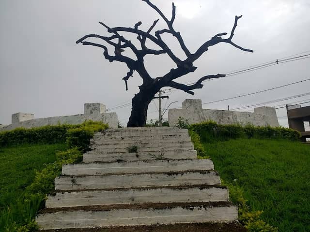 Tree of the Hanged - Image 1