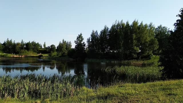 Sadovoye Tovarishchestvo Strelok - Image 1