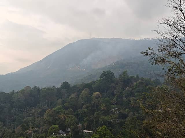 Pothamedu view point (Koodaram) - Image 1