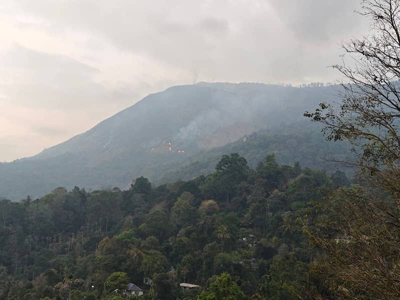Pothamedu view point (Koodaram) - Image 1