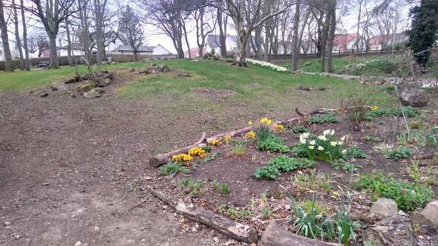 Park - Image 2