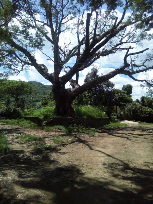 La Ceiba, Cantón San Cristóbal, El Porvenir - Image 1