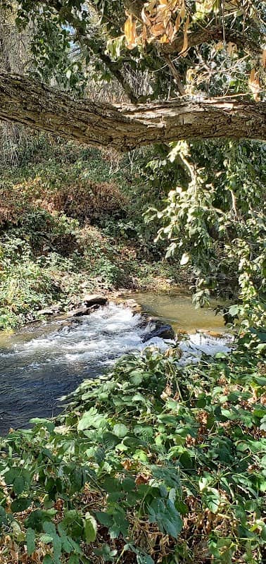 Tryon Park - Image 1