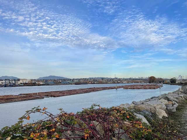 Bath Slough & Trail - Image 1