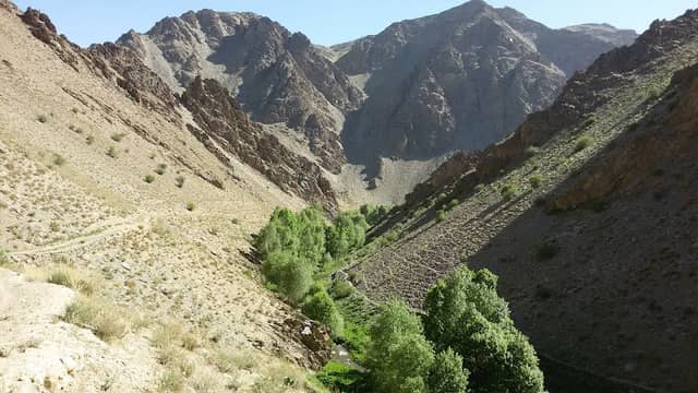 خوشنو هزاره - Image 1