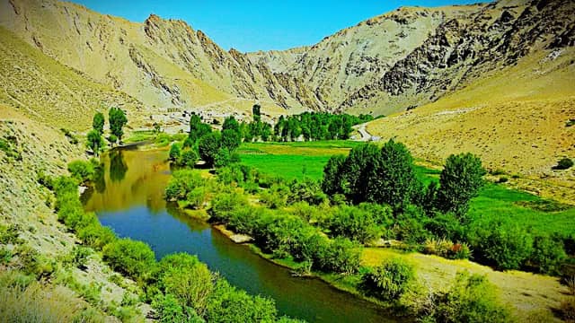 خوشنو هزاره - Image 2