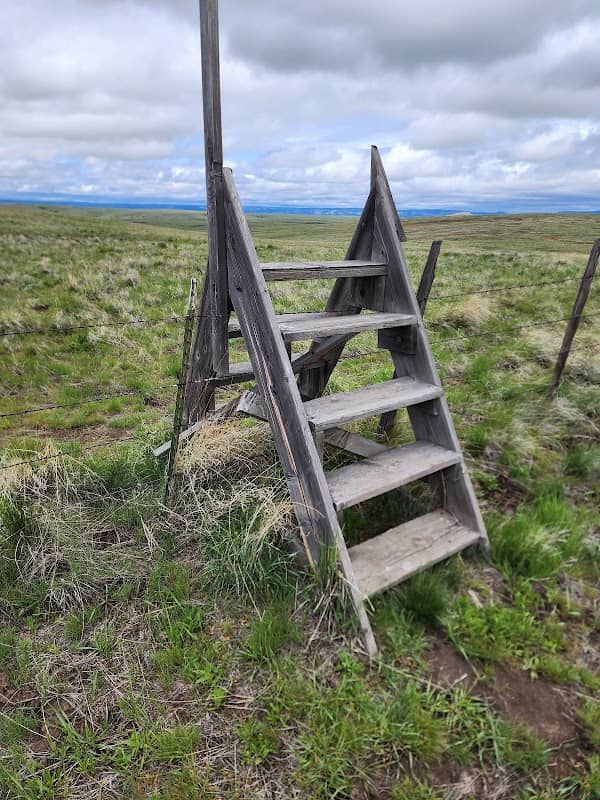 Horned Lark Trail - Image 2