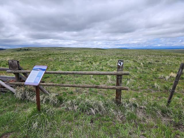 Horned Lark Trail - Image 1
