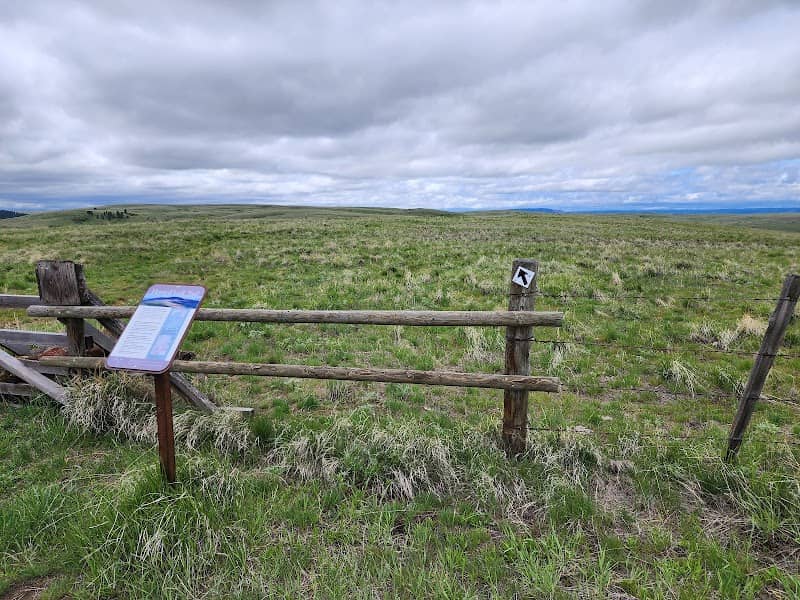 Horned Lark Trail - Image 1