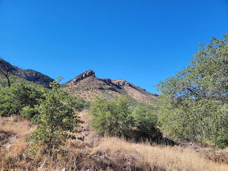 Coronado National Memorial - Image 3