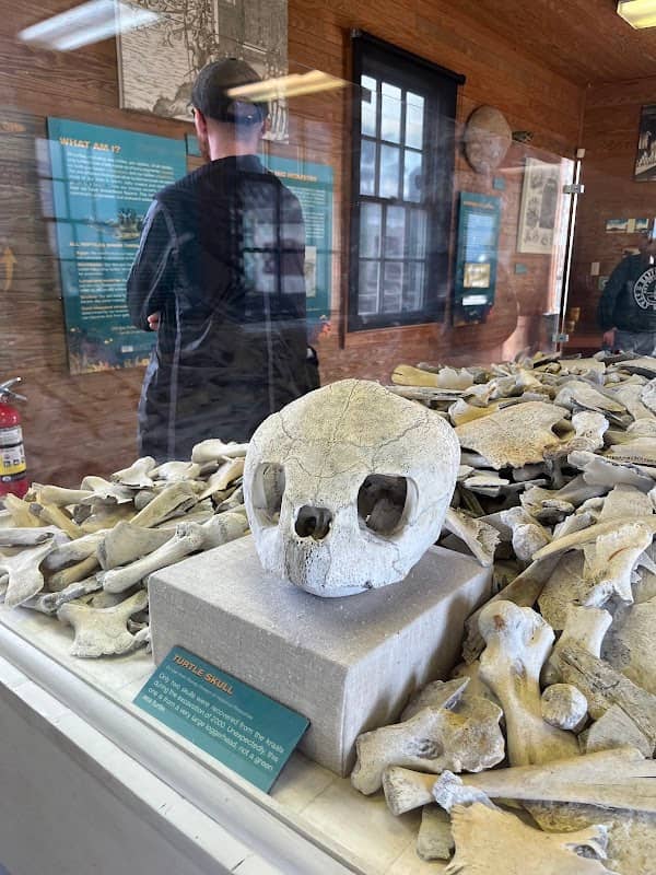 Turtle Cannery Museum - Image 2