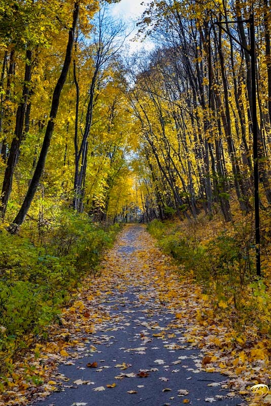 Dover Community Trail- Whittier Bridge Path - Image 1