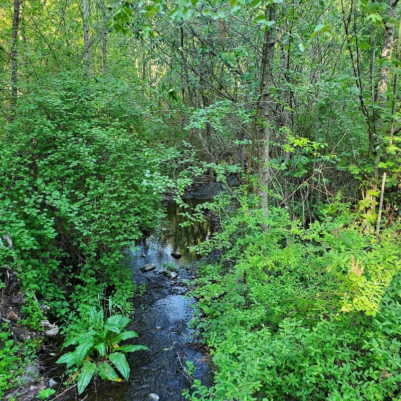 Soos Creek Trail Access - Image 1