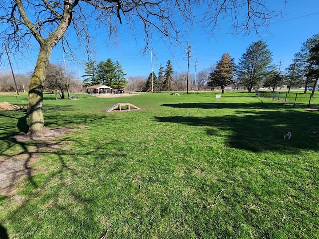 Springfield Dog Park - Image 1