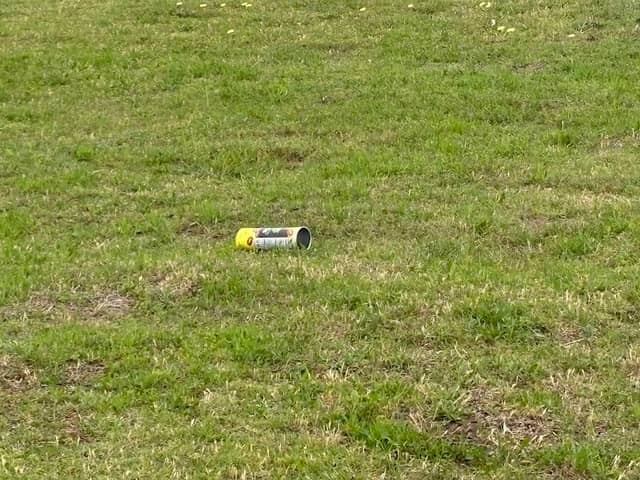 Spyglass Pond Park - Image 2