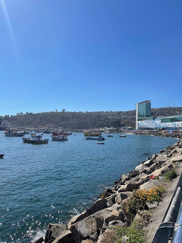 Paseo Bellamar - Image 1