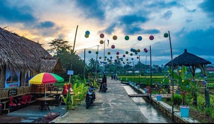 Sawah Lope Desa Cikaso - Image 1