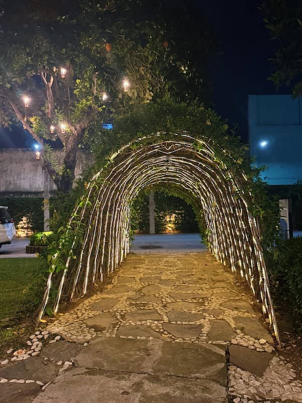 Axis Avenue of Lights - Image 1