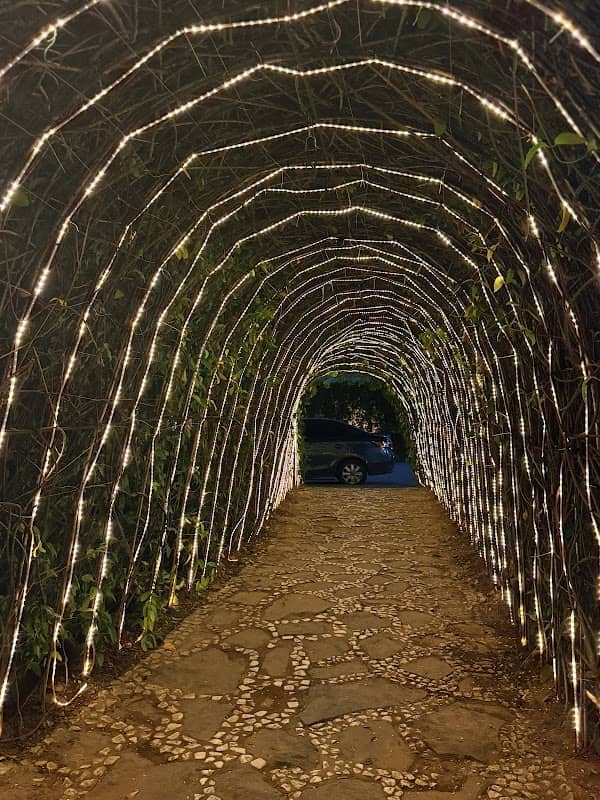 Axis Avenue of Lights - Image 2