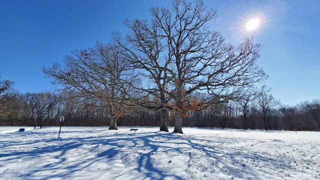 Mukwonago River State Natural Area - Image 2