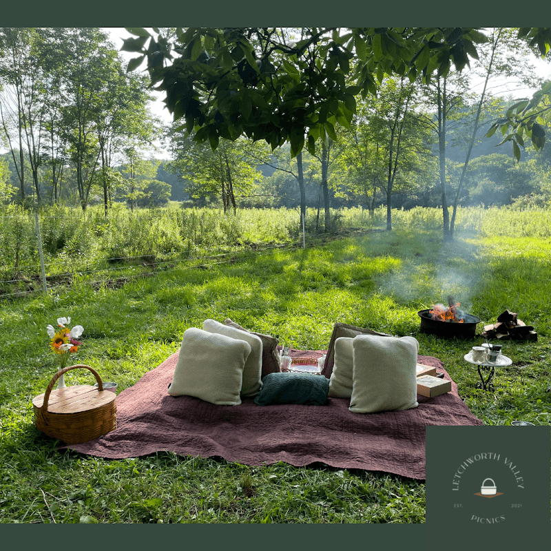 Letchworth Valley Picnics - Image 3