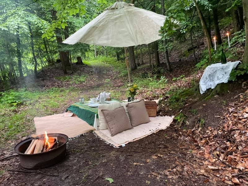 Letchworth Valley Picnics - Image 1
